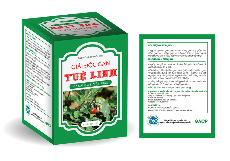 Cà gai leo có chữa được gan nhiễm mỡ không? 3