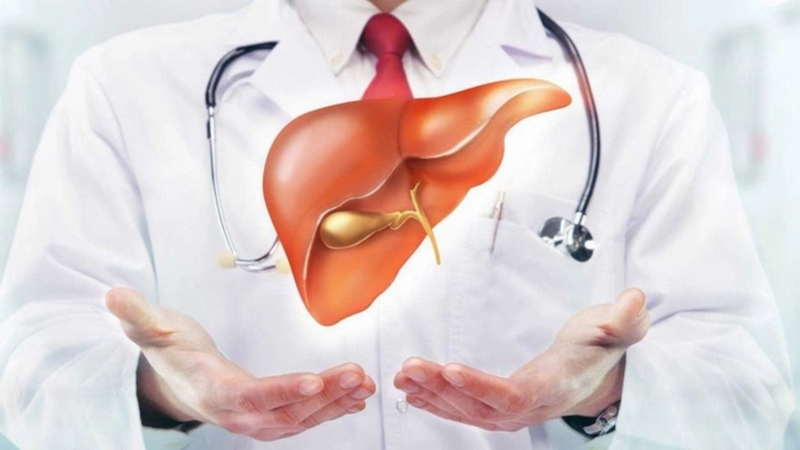 Cà gai leo công dụng là gì? Cách sử dụng cà gai leo hiệu quả và an toàn 2