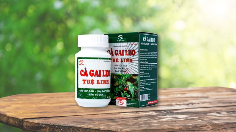 Cà gai leo công dụng là gì? Cách sử dụng cà gai leo hiệu quả và an toàn 3