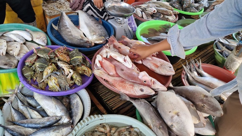 Cá Hói: Giá Trị Dinh Dưỡng Và Lợi Ích Khi Ăn 4