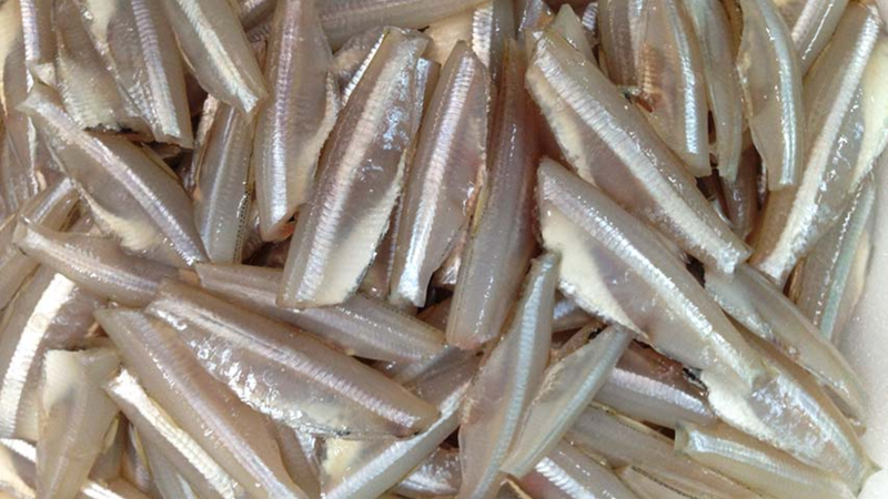 ca-mai-la-ca-gi-loi-ich-suc-khoe-khi-an-ca-mai 1