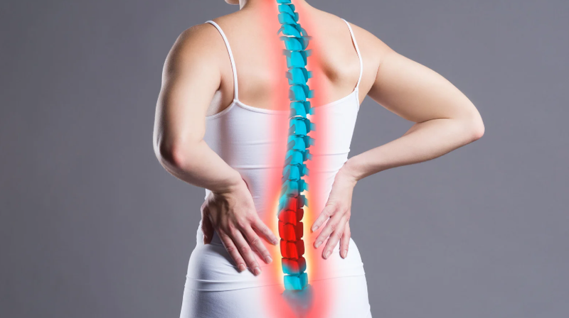 Cá mao ếch: Loài cá bổ dưỡng và tốt cho sức khỏe 3