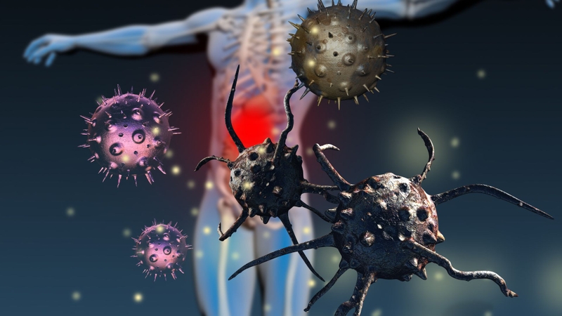 Cá mặt trăng: Giá trị dinh dưỡng, lợi ích sức khỏe và những điều cần biết 2