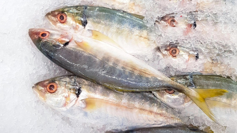 Cá ngân có giá trị dinh dưỡng gì? Ăn cá ngân có béo không? 2