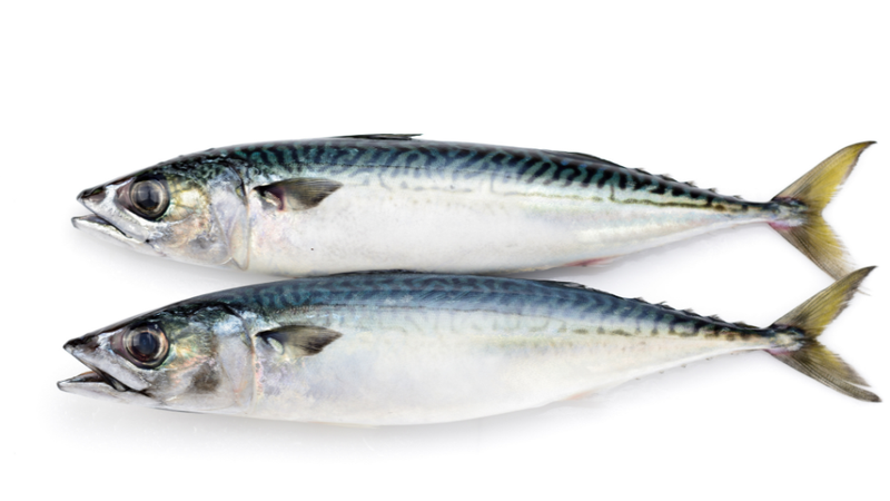 ca-nuc-bao-nhieu-calo-cach-an-ca-nuc-khong-bi-tang-can 1