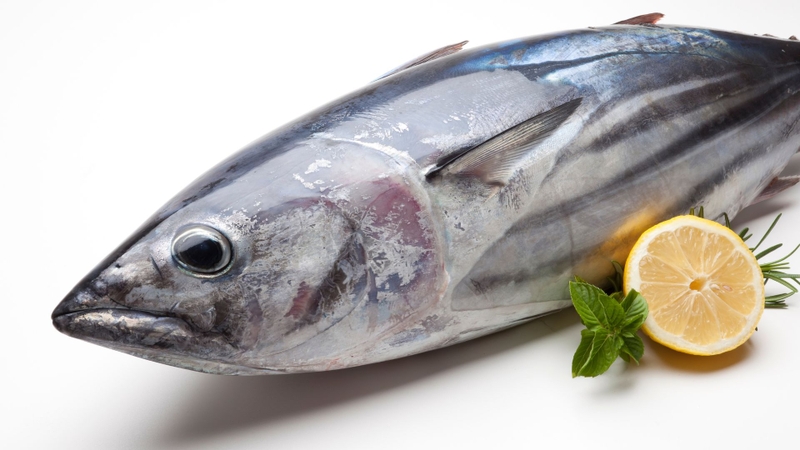 Cá ồ là cá gì? Giá trị dinh dưỡng và lợi ích sức khỏe từ cá ồ 2