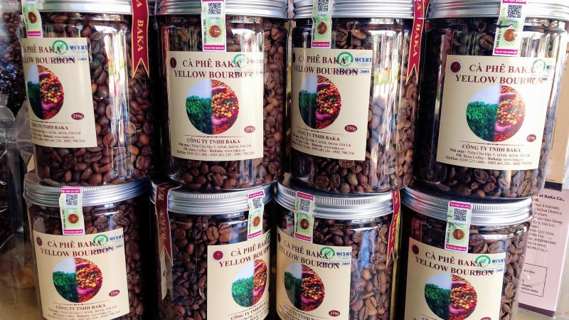 Cà phê Bourbon có hương vị ngọt đậm đà, chua thanh nhẹ vị trái cây