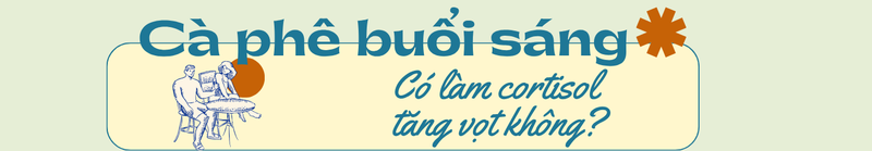 ca-phe-buoi-sang-co-lam-cortisol-tang-vot-khong-1.png