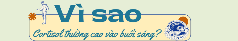 ca-phe-buoi-sang-co-lam-cortisol-tang-vot-khong-2.png