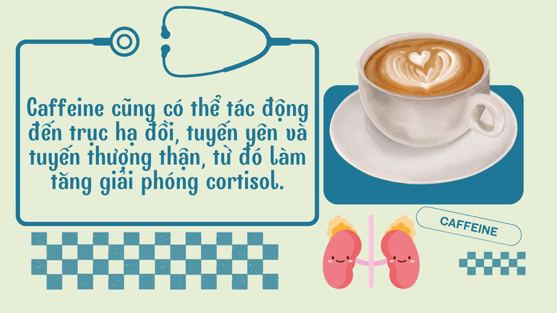 ca-phe-buoi-sang-co-lam-cortisol-tang-vot-khong-8.png