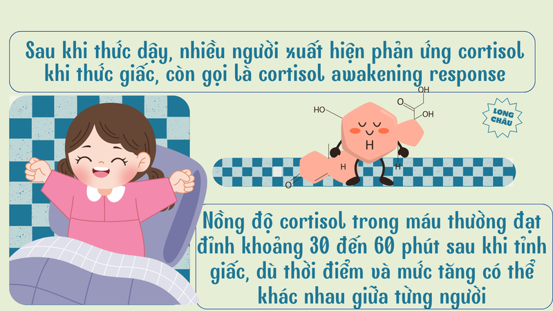 ca-phe-buoi-sang-co-lam-cortisol-tang-vot-khong-9.png