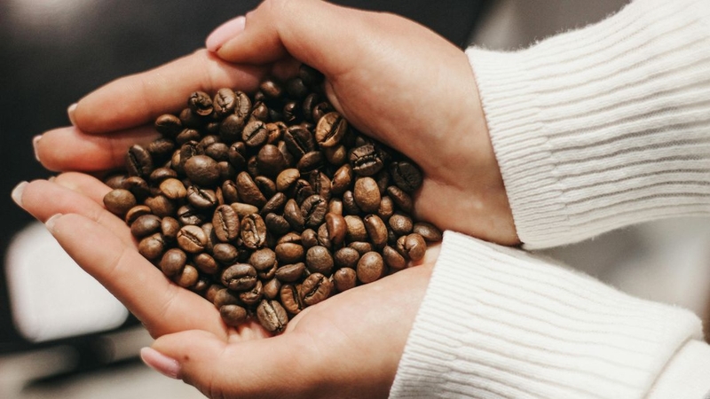 Cà phê hữu cơ chuẩn mang đến hương vị tinh khiết và nhiều lợi ích sức khỏe