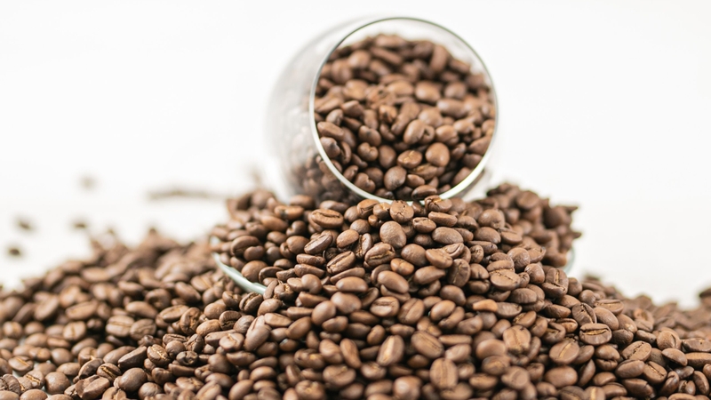 Mỗi giống cà phê Typica đem đến trải nghiệm hương vị không giống nhau