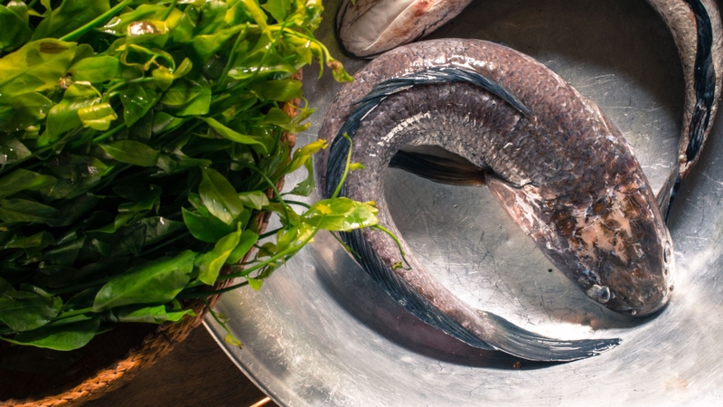 Cá quả: Giá trị dinh dưỡng, lợi ích sức khỏe và cách sử dụng hiệu quả 4