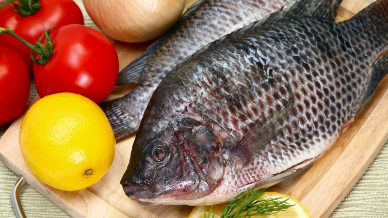 Cá rô là gì? Một số món ăn chế biến từ cá rô 5