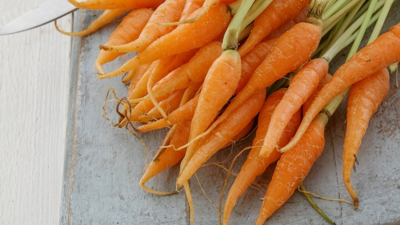 Cà rốt baby góp phần hỗ trợ miễn dịch nhờ beta-carotene và khả năng chống oxy hóa tự nhiên