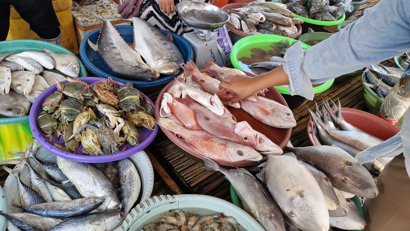 Mỗi loại cá sạch mang lại những lợi ích dinh dưỡng khác nhau