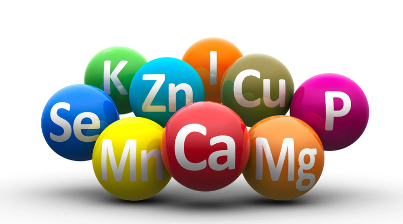 Cá tai tượng: Lợi ích dinh dưỡng và tác động tích cực đến sức khỏe 2