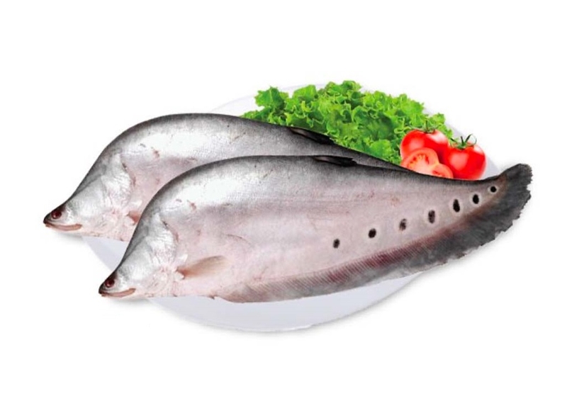 Cá thác lác có tác dụng gì? Giá trị dinh dưỡng ra sao 2