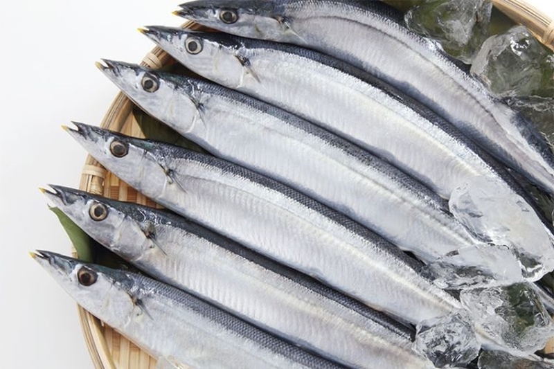 Cá thu có mấy loại? Bí quyết chọn cá thu ngon và chất lượng 2