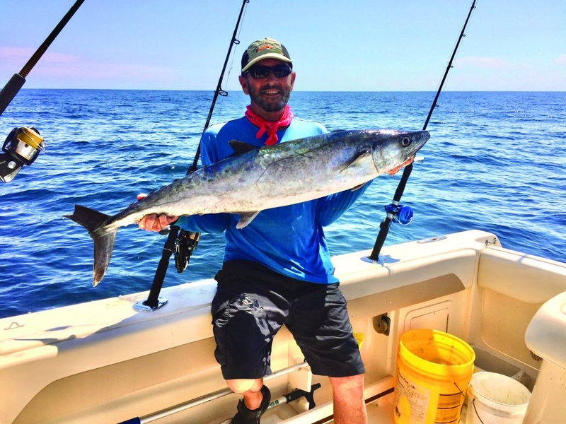 Cá thu có mấy loại? Bí quyết chọn cá thu ngon và chất lượng 3