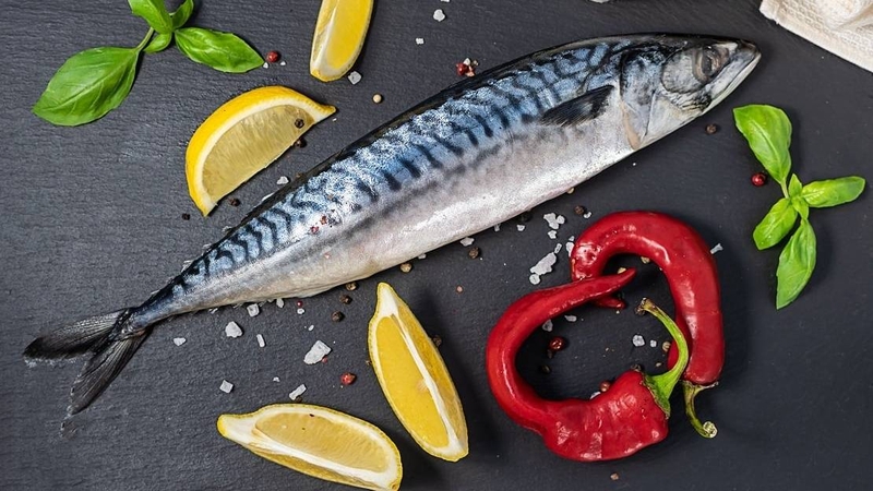 Cá thu nhật có chứa thủy ngân không 2