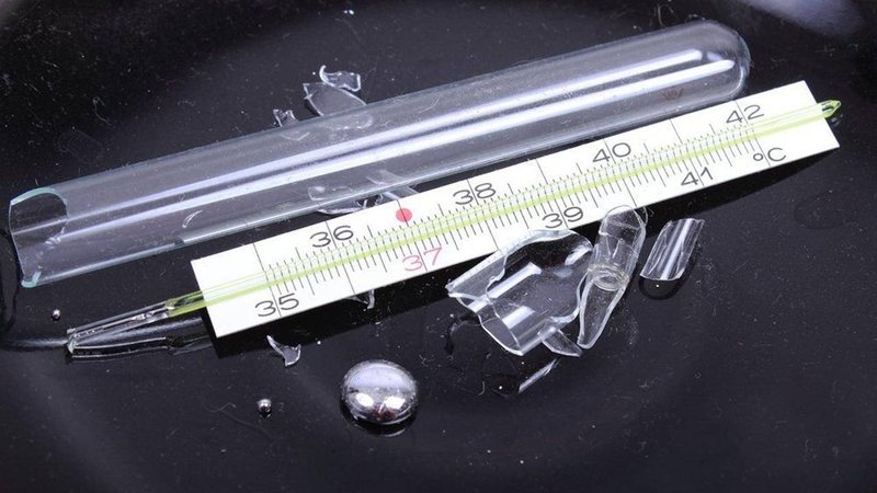 Cá thu nhật có chứa thủy ngân không 3