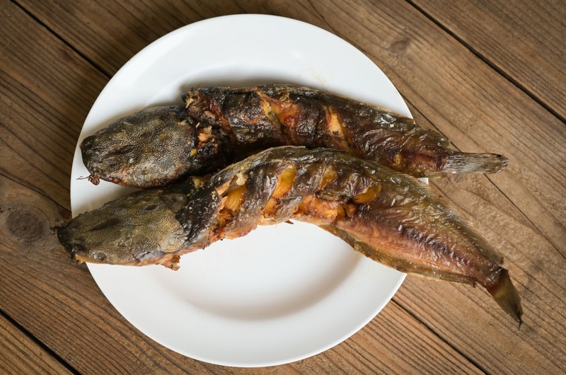 Cá trê: Giá trị dinh dưỡng và lợi ích với sức khỏe 2