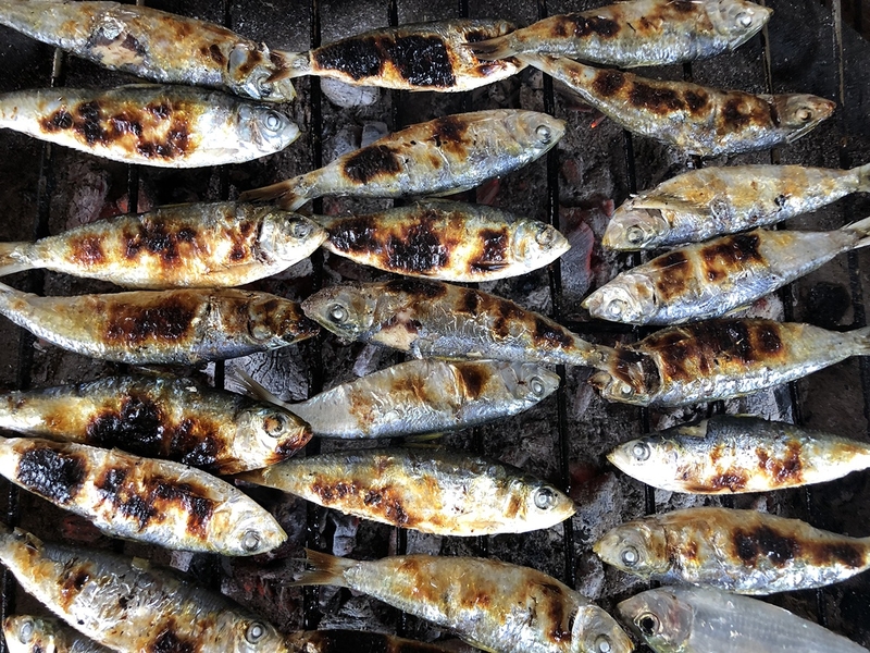Cá trích nướng ăn với gì? Cách chế biến cá trích nướng?