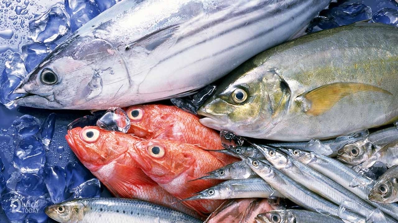 Cá ươn ăn được không? Mẹo để phân biệt cá tươi và cá ươn 4