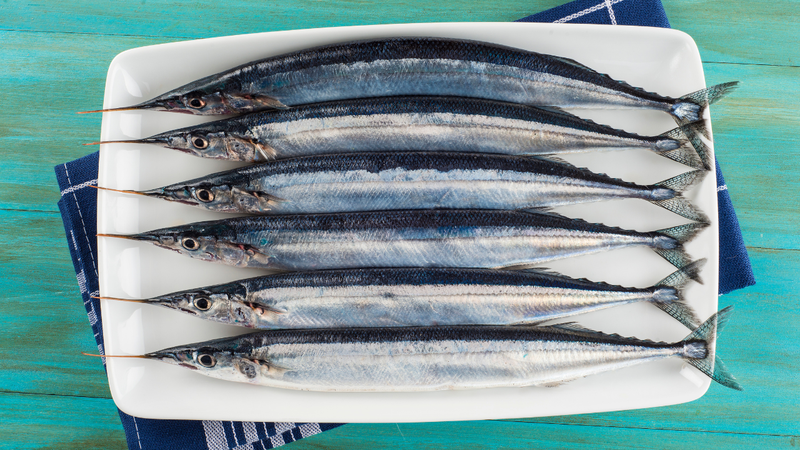 Cá xương xanh mang lại nhiều lợi ích tuyệt vời cho sức khỏe con người