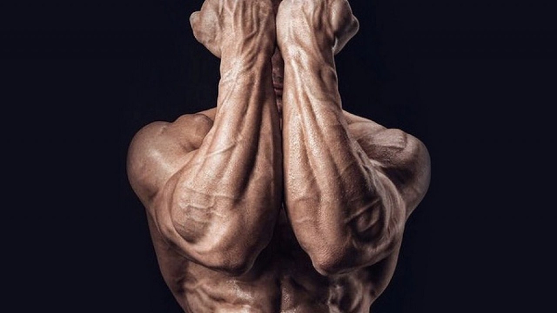 Các bài tập dành cho cẳng tay - forearm