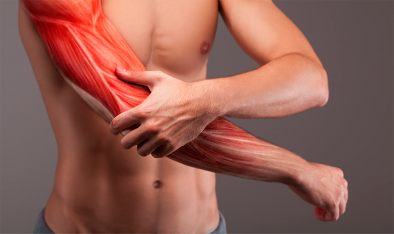 Các bài tập dành cho cẳng tay - forearm