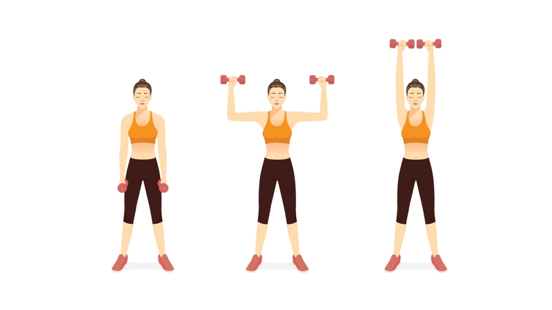 Các bài tập giảm mỡ bắp tay bằng tạ hiệu quả 2
