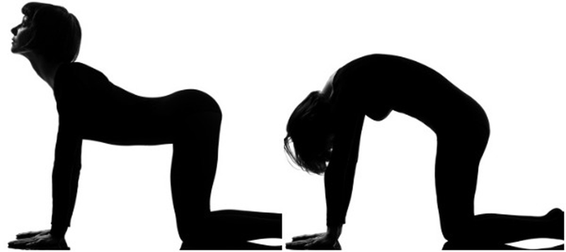 Các bài tập phục hồi chức năng cho bệnh nhân vẹo cột sống 4