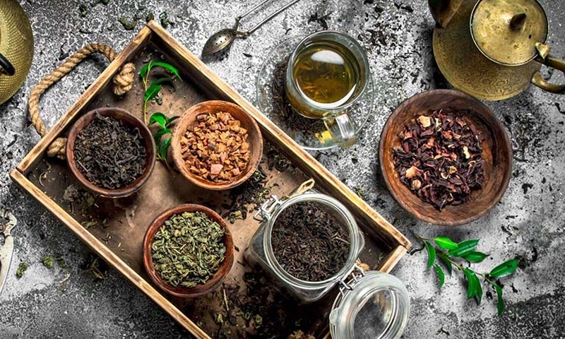 Các bài thuốc đông y trị viêm da cơ địa2