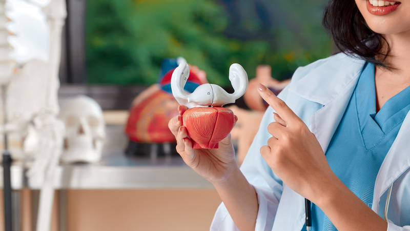 cac-bai-thuoc-nam-chua-bang-quang-tang-hoat-va-luu-y-khi-su-dung