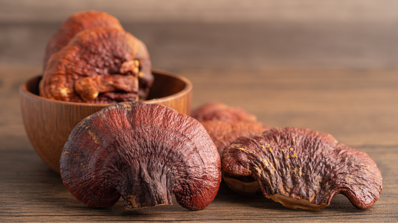 cac-bai-thuoc-nam-chua-bang-quang-tang-hoat-va-luu-y-khi-su-dung