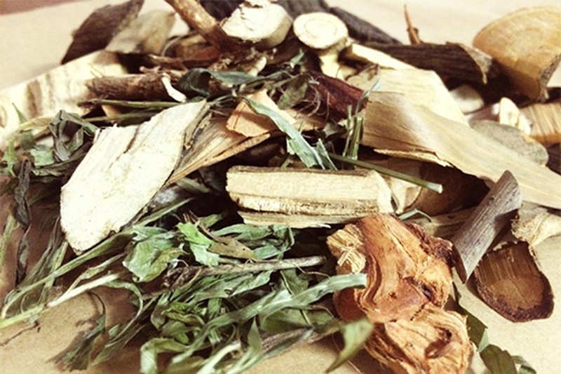 Các bài thuốc nam chữa bệnh gout hiệu quả