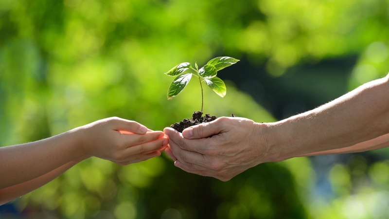 Tăng mật độ cây xanh, không gian mở và hành lang sinh thái để cải thiện vi khí hậu, giảm tích tụ PM2.5