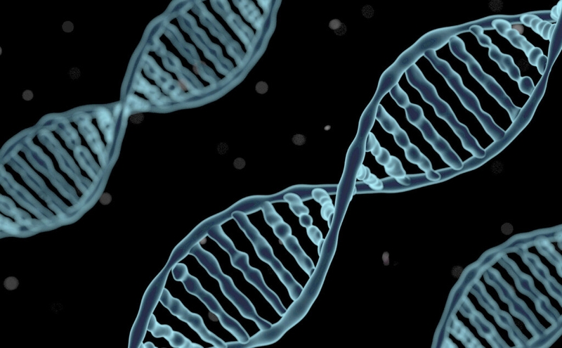 Các biện pháp phòng ngừa bệnh tiểu đường ở trẻ em như thế nào? 1