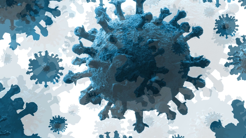 Các biến thể gen FOXP4 tiết lộ mối liên hệ di truyền mới với nguy cơ mắc COVID kéo dài 1