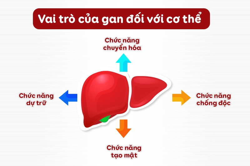 Các biểu hiện ngoài da của bệnh gan: Dấu hiệu không nên bỏ qua 1