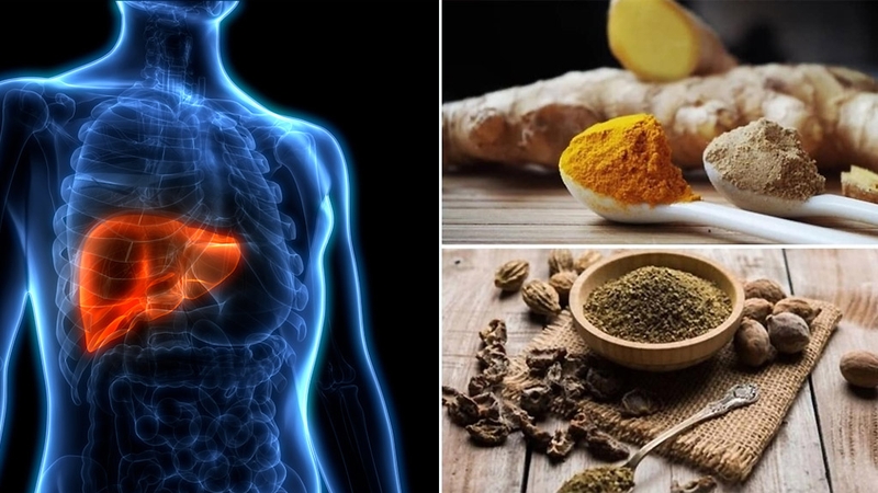 Các biểu hiện sau khi uống thuốc giải độc gan và cách khắc phục 1