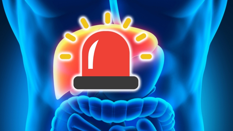 Các biểu hiện sau khi uống thuốc giải độc gan và cách khắc phục 2