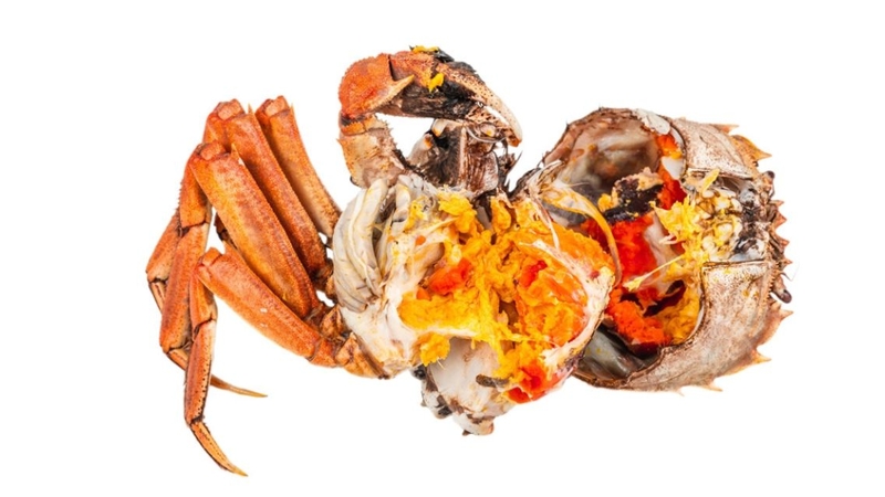 Các bộ phận ăn được của cua đều cung cấp dưỡng chất tốt cho sức khỏe