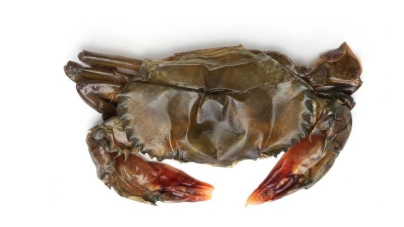 Cần biết cách ăn cua an toàn để tận dụng tối đa giá trị dinh dưỡng