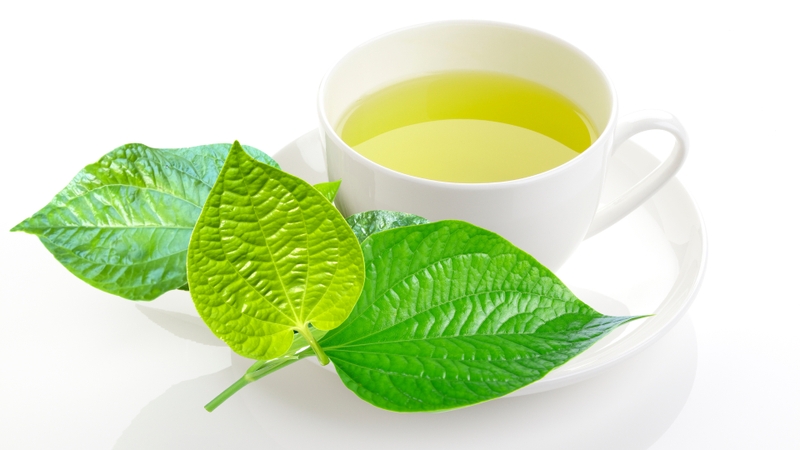 Chữa bệnh gout bằng lá lốt có hiệu quả không? 3