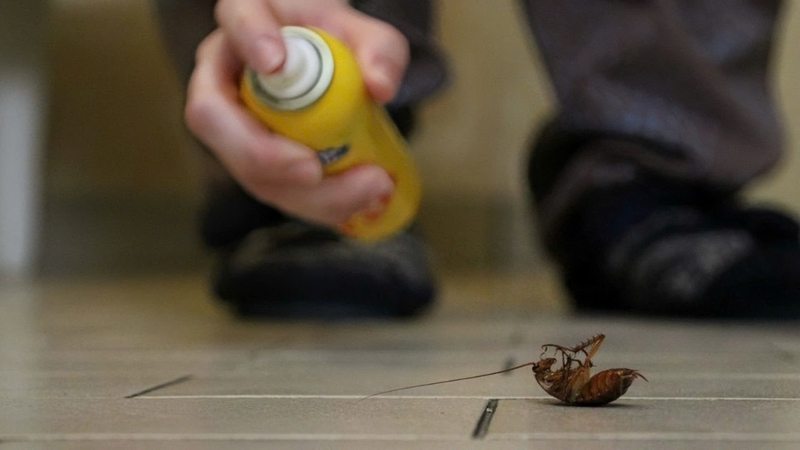 cac-cach-diet-gian-tan-goc-hieu-qua 3