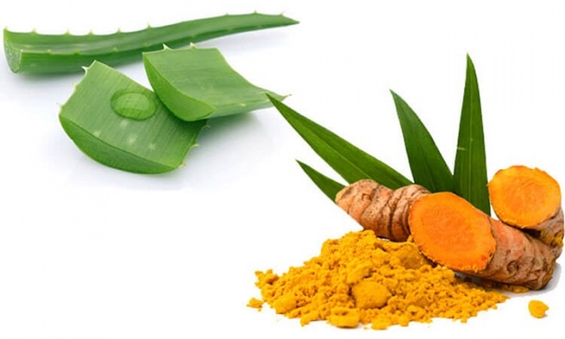 Làm mặt nạ tinh bột nghệ kết hợp nha đam giúp điều trị mụn viêm